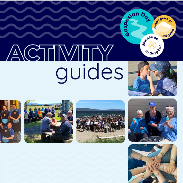 Guide