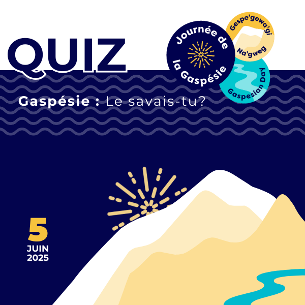 Quiz 2025