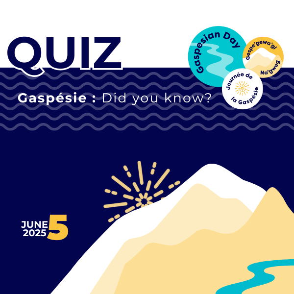 Quiz
